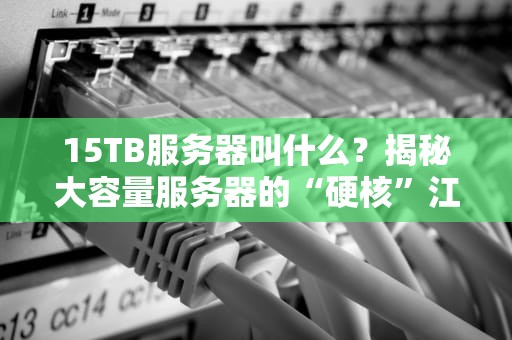 15TB服务器叫什么？揭秘大容量服务器的“硬核”江湖绰号！