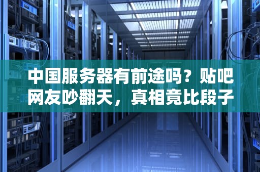 中国服务器有前途吗？贴吧网友吵翻天，真相竟比段子还精彩！