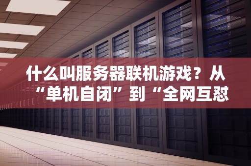 什么叫服务器联机游戏？从“单机自闭”到“全网互怼”的快乐进化论！
