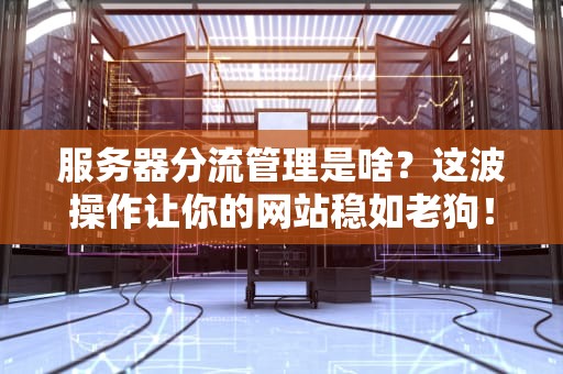 服务器分流管理是啥？这波操作让你的网站稳如老狗！