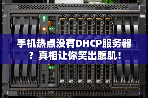 手机热点没有DHCP服务器？真相让你笑出腹肌！