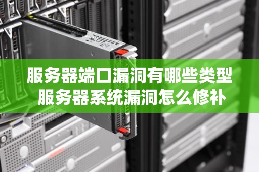 服务器端口漏洞有哪些类型 服务器系统漏洞怎么修补