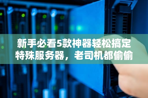 新手必看5款神器轻松搞定特殊服务器，老司机都偷偷在用！