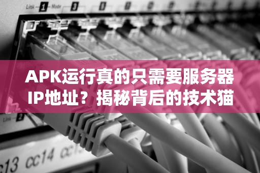 APK运行真的只需要服务器IP地址？揭秘背后的技术猫腻！