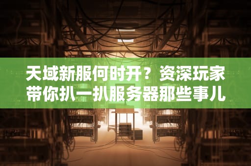 天域新服何时开？资深玩家带你扒一扒服务器那些事儿！