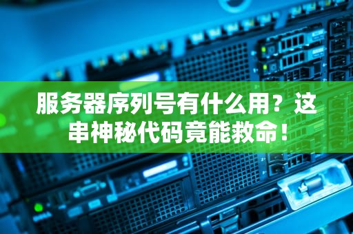 服务器序列号有什么用？这串神秘代码竟能救命！