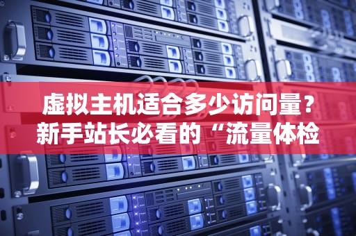虚拟主机适合多少访问量？新手站长必看的“流量体检报告”！