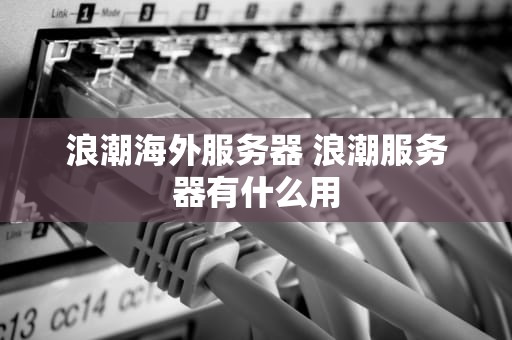 浪潮海外服务器 浪潮服务器有什么用