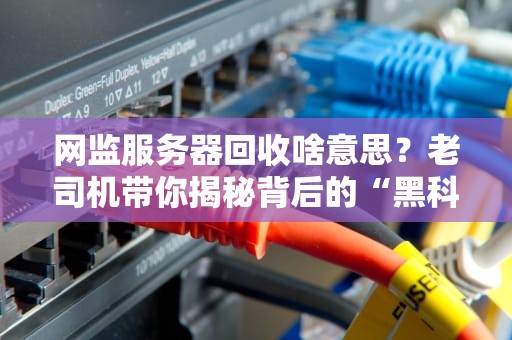 网监服务器回收啥意思？老司机带你揭秘背后的“黑科技”！（附避坑指南）