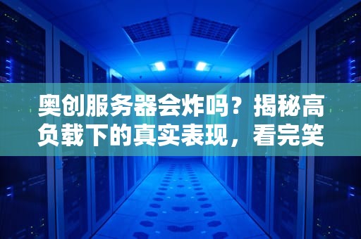 奥创服务器会炸吗？揭秘高负载下的真实表现，看完笑出猪叫！