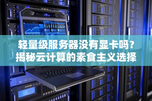 轻量级服务器没有显卡吗？揭秘云计算的素食主义选择