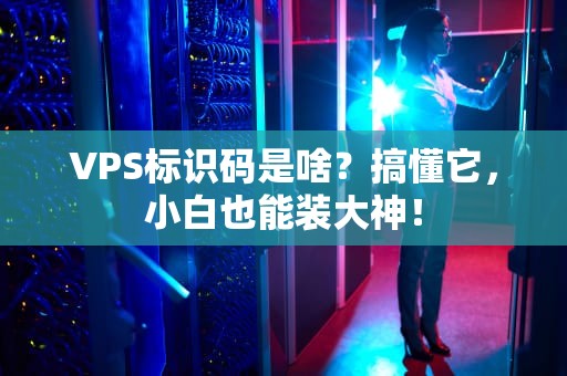 VPS标识码是啥？搞懂它，小白也能装大神！