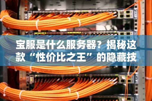 宝服是什么服务器？揭秘这款“性价比之王”的隐藏技能！