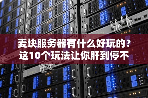 麦块服务器有什么好玩的？这10个玩法让你肝到停不下来！