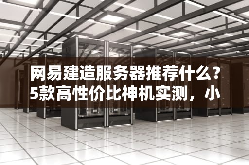 网易建造服务器推荐什么？5款高性价比神机实测，小白也能秒懂！