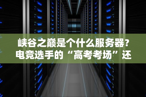 峡谷之巅是个什么服务器？电竞选手的“高考考场”还是普通玩家的“噩梦”？
