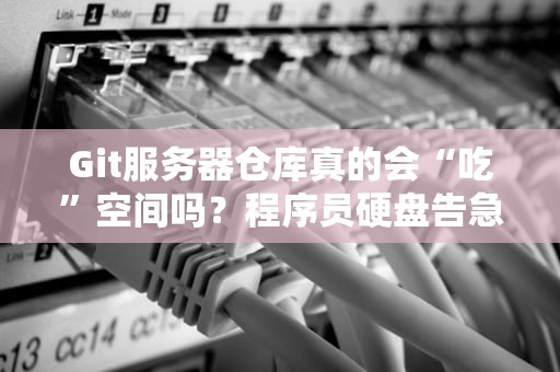 Git服务器仓库真的会“吃”空间吗？程序员硬盘告急真相大公开！