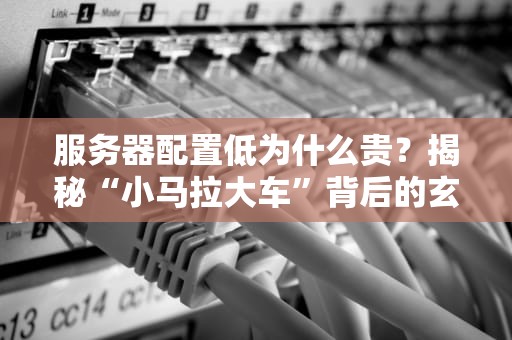服务器配置低为什么贵？揭秘“小马拉大车”背后的玄机！