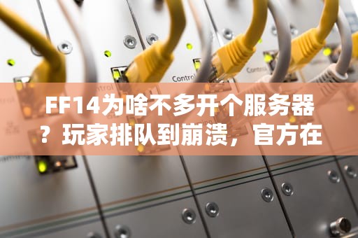 FF14为啥不多开个服务器？玩家排队到崩溃，官方在憋啥大招？