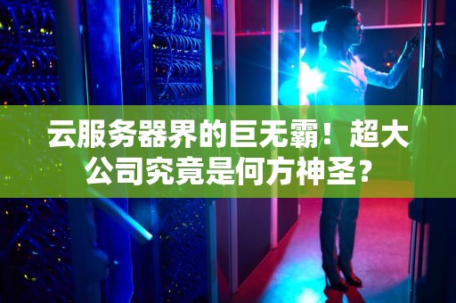 云服务器界的巨无霸！超大公司究竟是何方神圣？