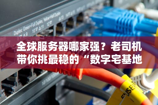 全球服务器哪家强？老司机带你挑最稳的“数字宅基地”！