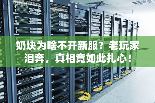 奶块为啥不开新服？老玩家泪奔，真相竟如此扎心！