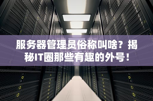 服务器管理员俗称叫啥？揭秘IT圈那些有趣的外号！