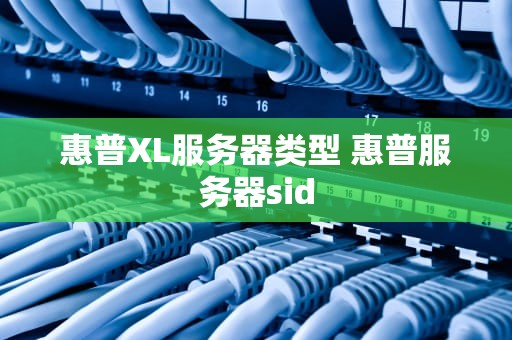 惠普XL服务器类型 惠普服务器sid