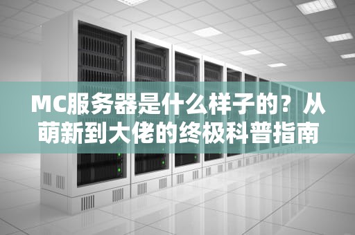 MC服务器是什么样子的？从萌新到大佬的终极科普指南！