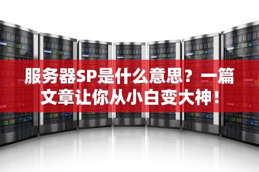 服务器SP是什么意思？一篇文章让你从小白变大神！