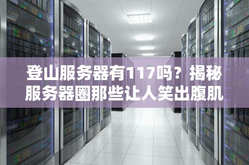 登山服务器有117吗？揭秘服务器圈那些让人笑出腹肌的“黑话”