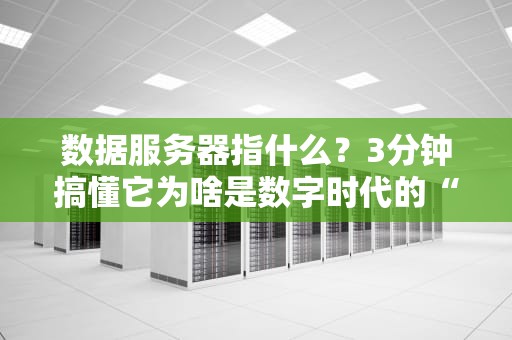 数据服务器指什么？3分钟搞懂它为啥是数字时代的“扛把子”！