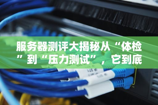 服务器测评大揭秘从“体检”到“压力测试”，它到底经历了什么？