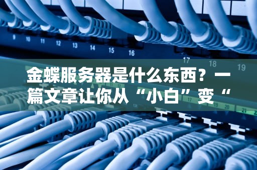 金蝶服务器是什么东西？一篇文章让你从“小白”变“大神”！