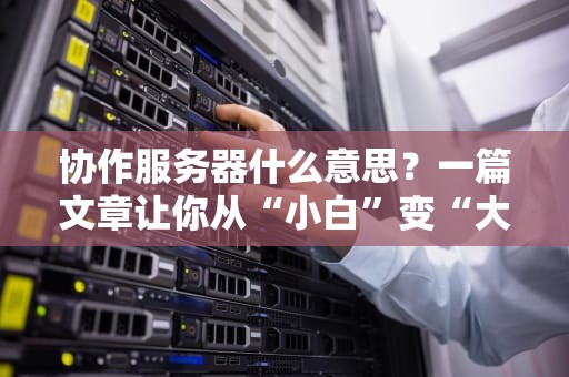 协作服务器什么意思？一篇文章让你从“小白”变“大神”！（附真实测评）