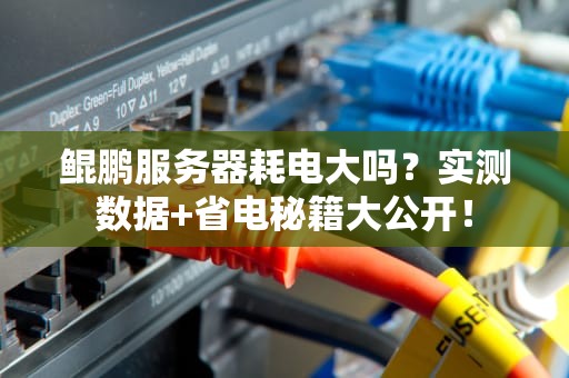 鲲鹏服务器耗电大吗？实测数据+省电秘籍大公开！