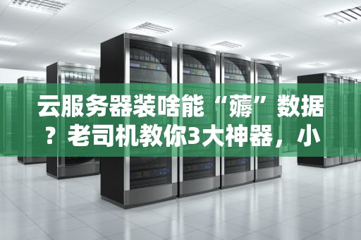 云服务器装啥能“薅”数据？老司机教你3大神器，小白也能变黑客（不是）