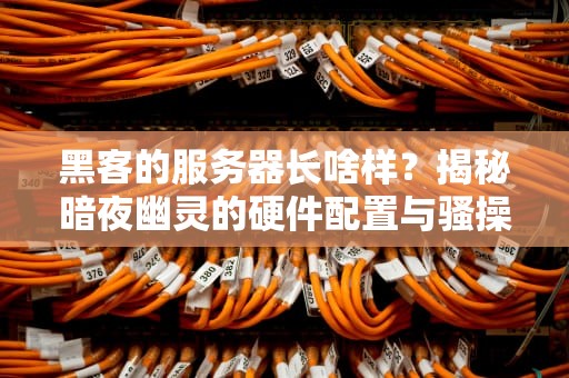 黑客的服务器长啥样？揭秘暗夜幽灵的硬件配置与骚操作！