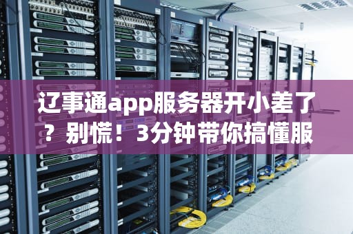 辽事通app服务器开小差了？别慌！3分钟带你搞懂服务器罢工的真相