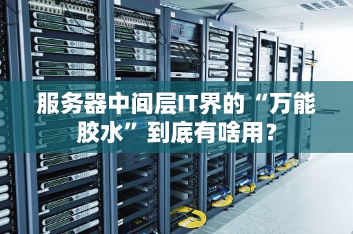 服务器中间层IT界的“万能胶水”到底有啥用？
