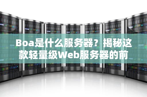 Boa是什么服务器？揭秘这款轻量级Web服务器的前世今生