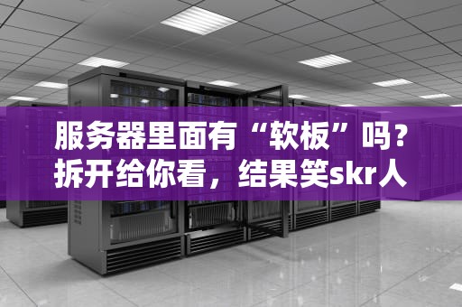 服务器里面有“软板”吗？拆开给你看，结果笑skr人！