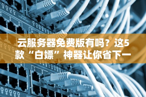 云服务器免费版有吗？这5款“白嫖”神器让你省下一套房！