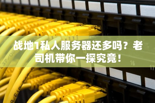 战地1私人服务器还多吗？老司机带你一探究竟！