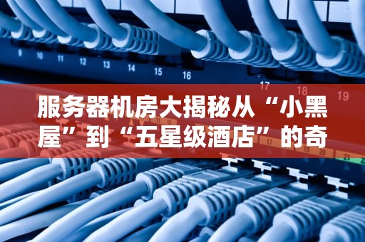 服务器机房大揭秘从“小黑屋”到“五星级酒店”的奇妙之旅