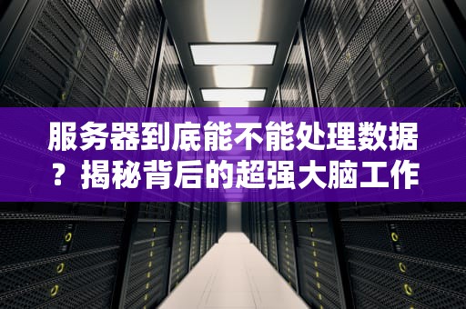 服务器到底能不能处理数据？揭秘背后的超强大脑工作日常！
