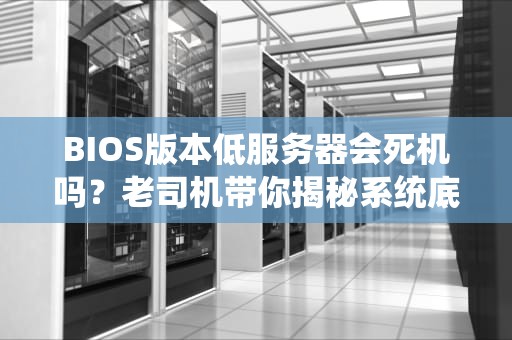 BIOS版本低服务器会死机吗？老司机带你揭秘系统底裤的致命影响！