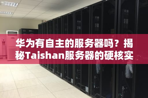 华为有自主的服务器吗？揭秘Taishan服务器的硬核实力与搞笑日常