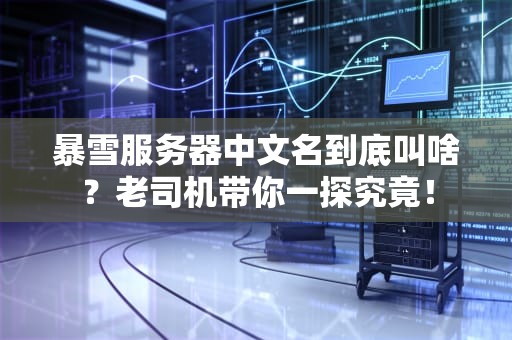 暴雪服务器中文名到底叫啥？老司机带你一探究竟！
