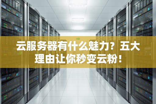 云服务器有什么魅力？五大理由让你秒变云粉！